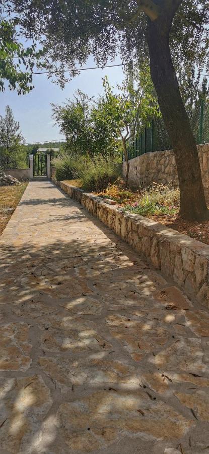 Park Apartment Pridraga Luaran gambar